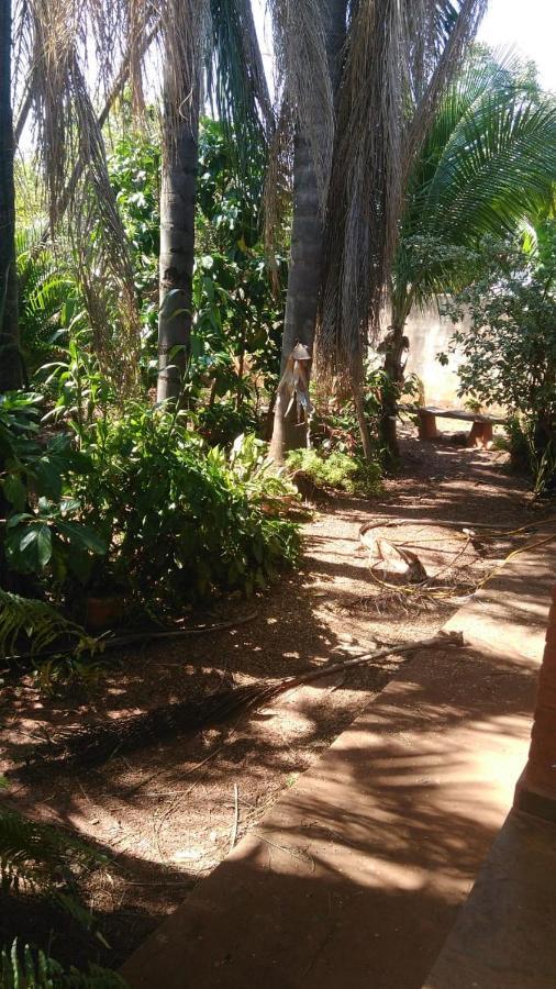 فيلا Olímpiaفي Casa Bella Cedros المظهر الخارجي الصورة
